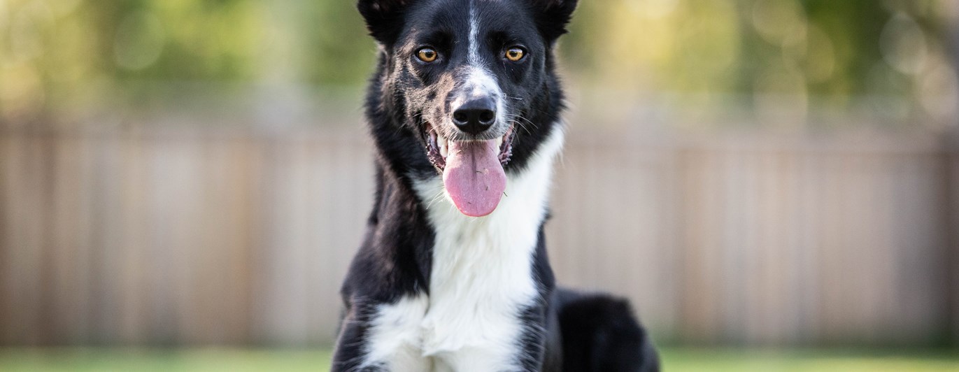 Jill
Bild: Alva Högkvist