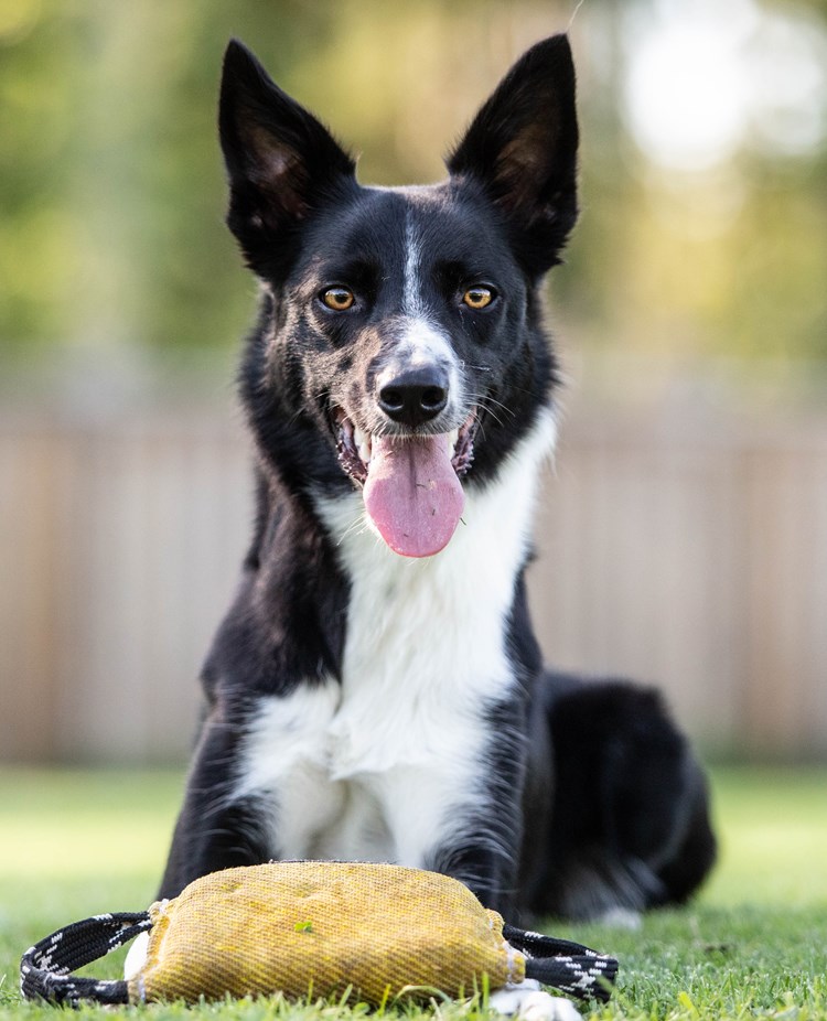 Jill
Bild: Alva Högkvist