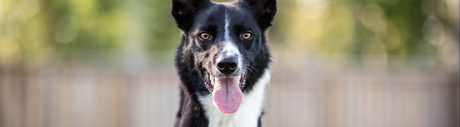 Jill
Bild: Alva Högkvist