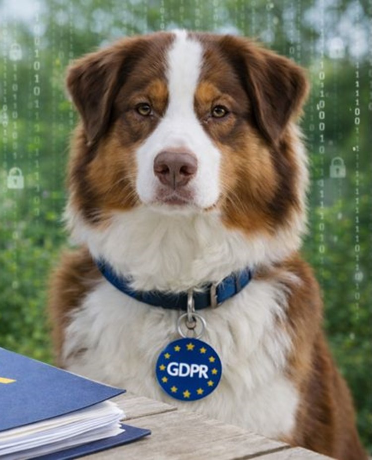 GDPR
