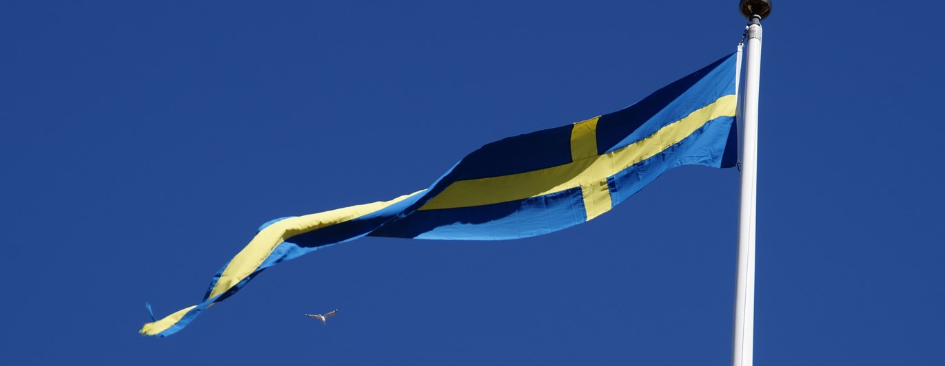 Svensk fana