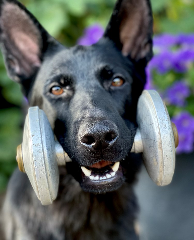 Iffa Foto: Lotta Wiklander