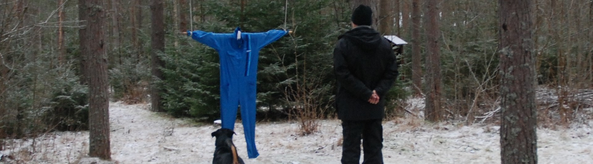 Rottweiler vid dumpen på MH