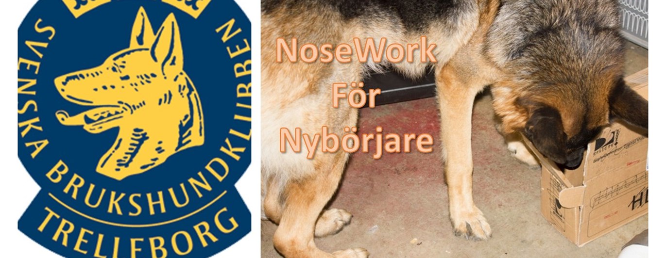 Nosework deltagare