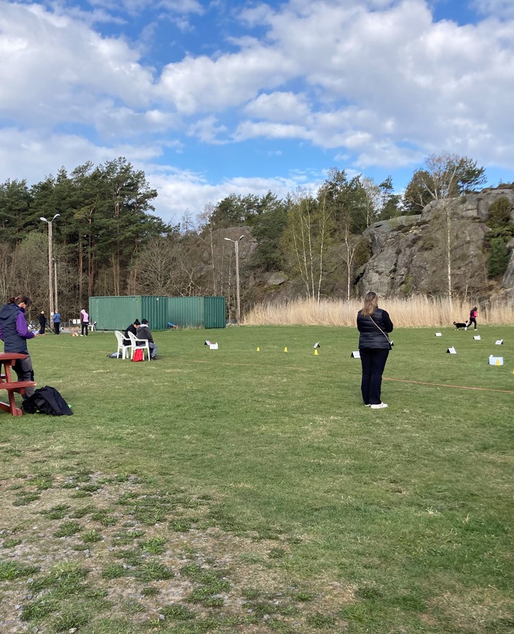 Bild på en rallylydnadsbana med tävlande