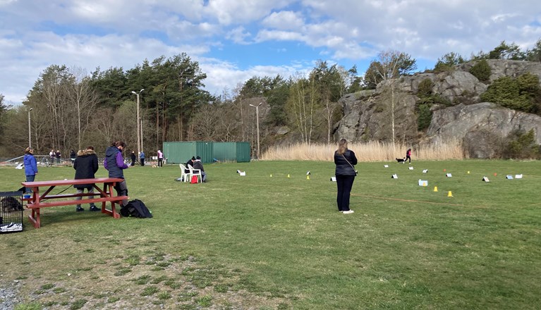 Bild på en rallylydnadsbana med tävlande