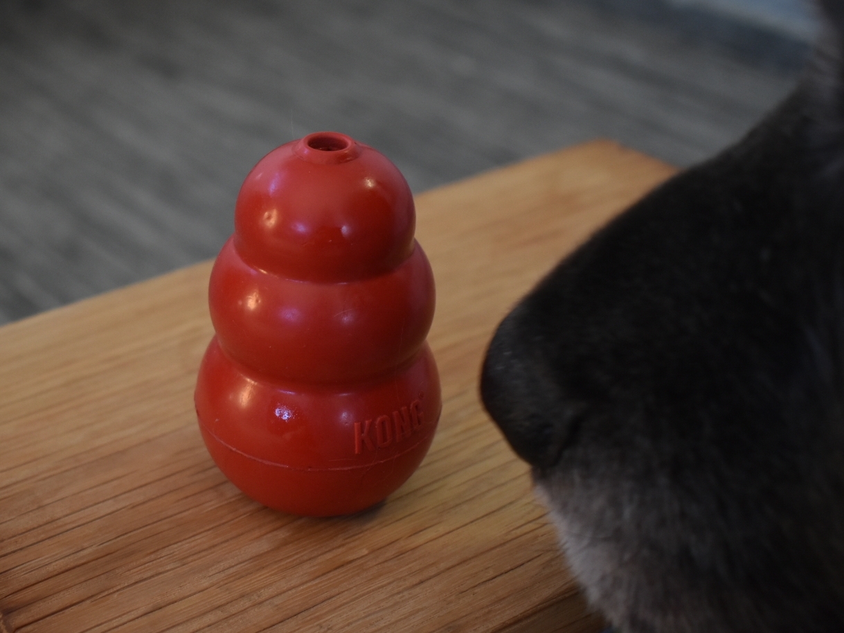 Specialsök. Röd Kong och hundnos.