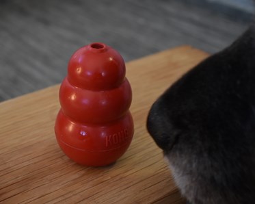 Specialsök. Röd Kong och hundnos.