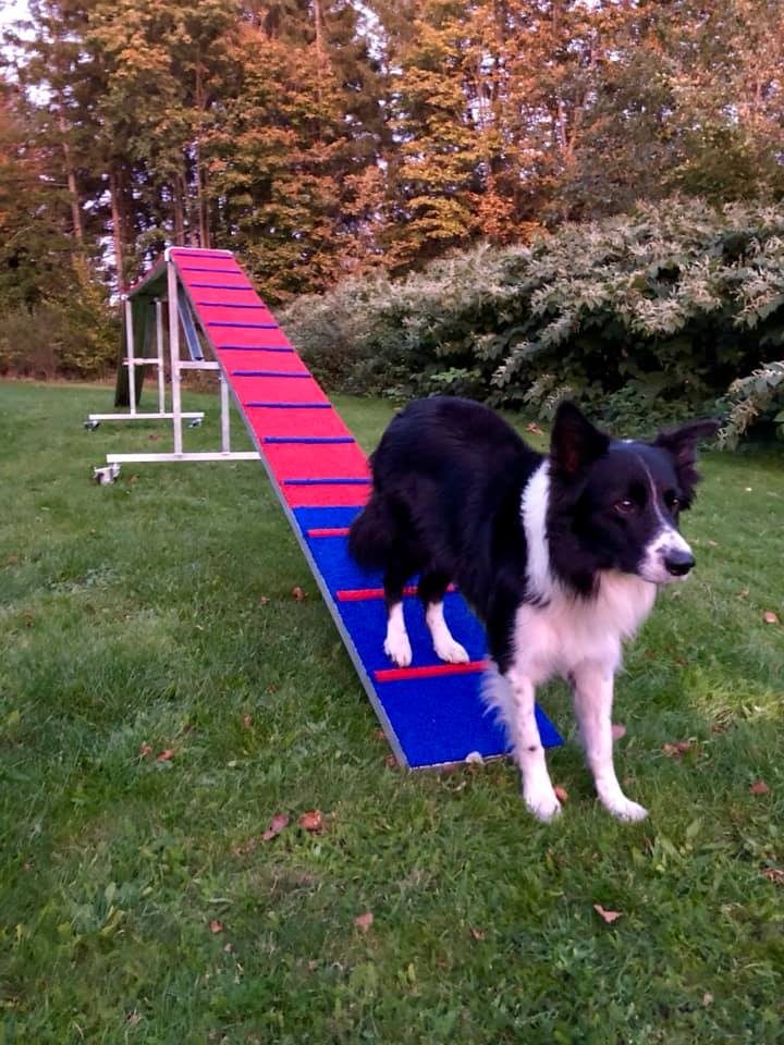 Vinga Agility