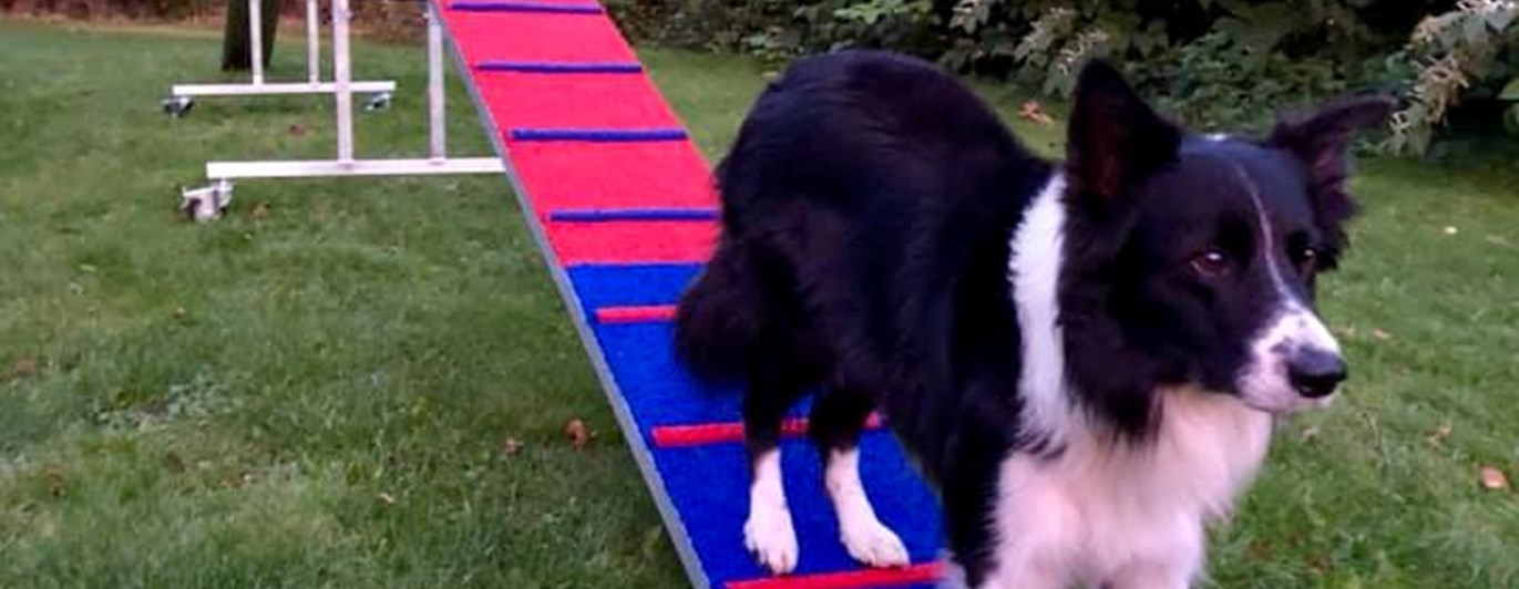 Vinga Agility
