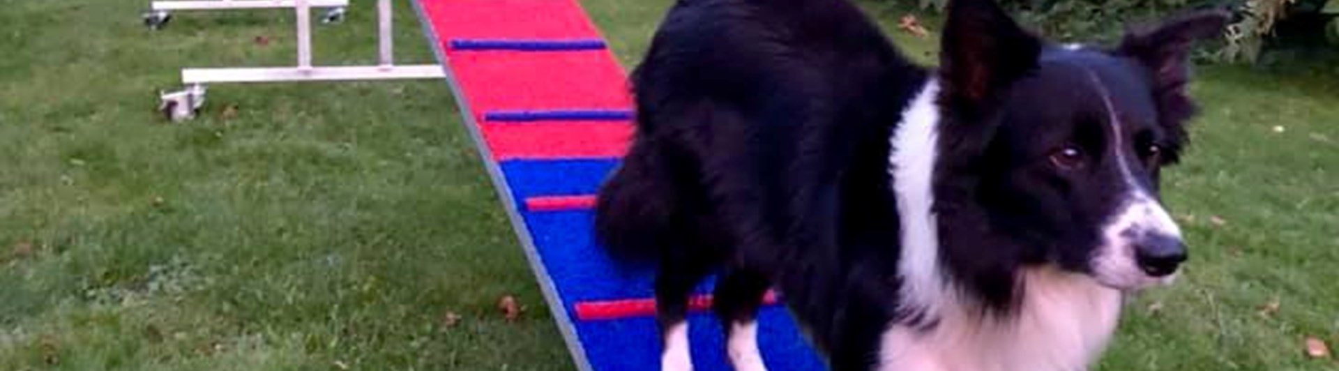 Vinga Agility