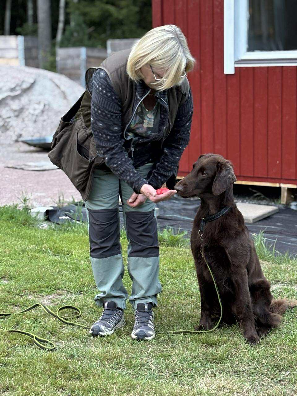 Specialsök 2025 2a Polly