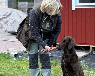 Specialsök 2025 2a Polly