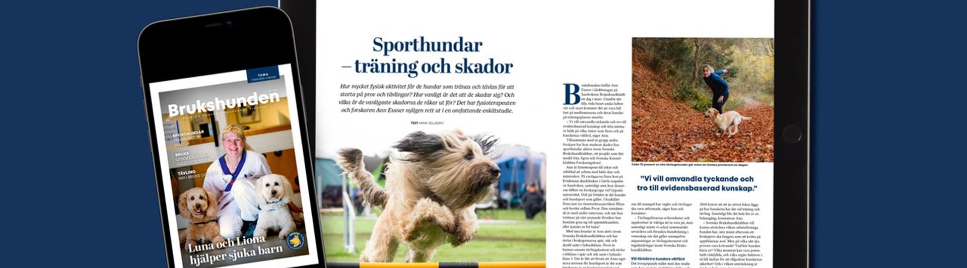 Bild på Brukshunden nummer 6, 2024.