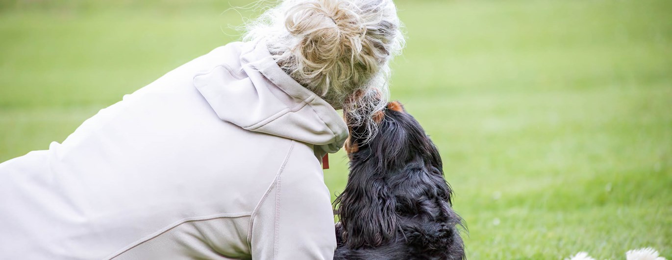 Hund och människa