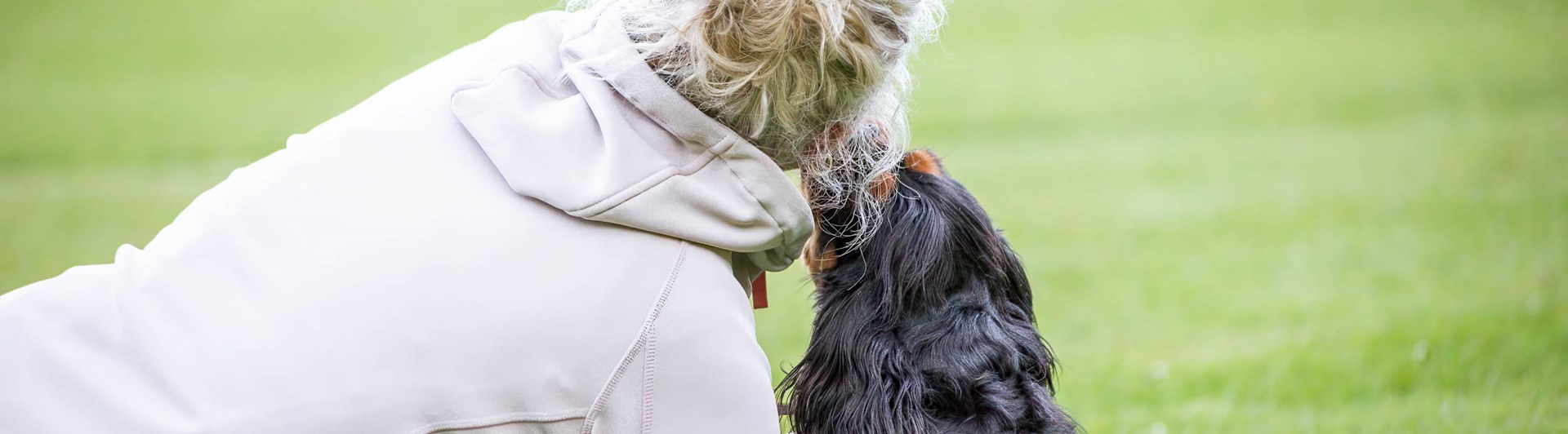 Hund och människa