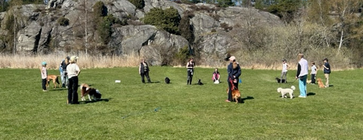 Torslanda-Öckerö Brukshundklubb öppen träning