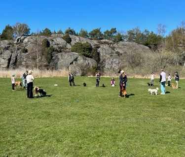 Torslanda-Öckerö Brukshundklubb öppen träning