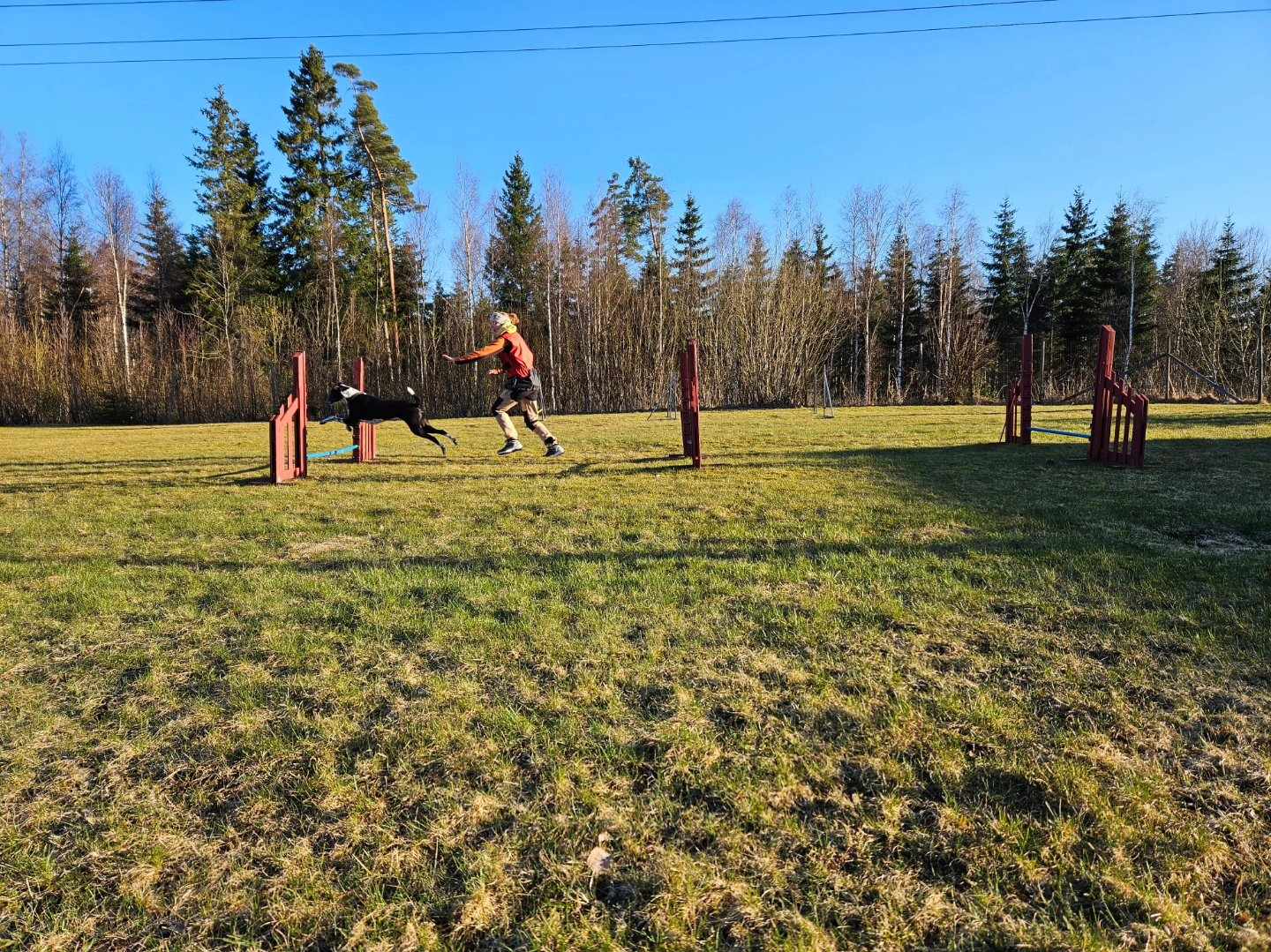 Ekipage tränar agility
