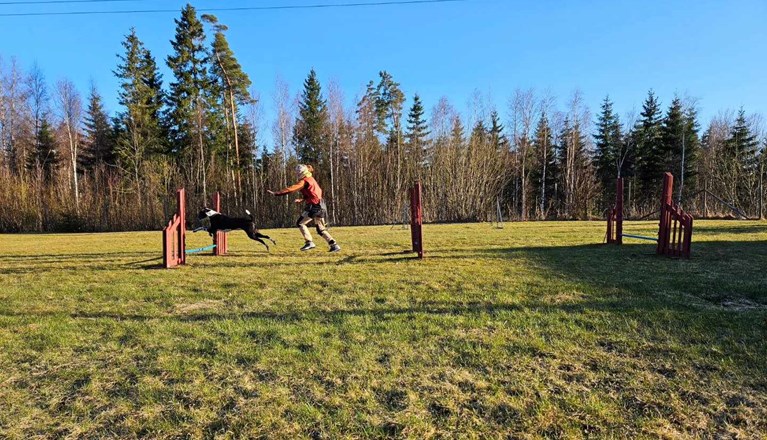 Ekipage tränar agility