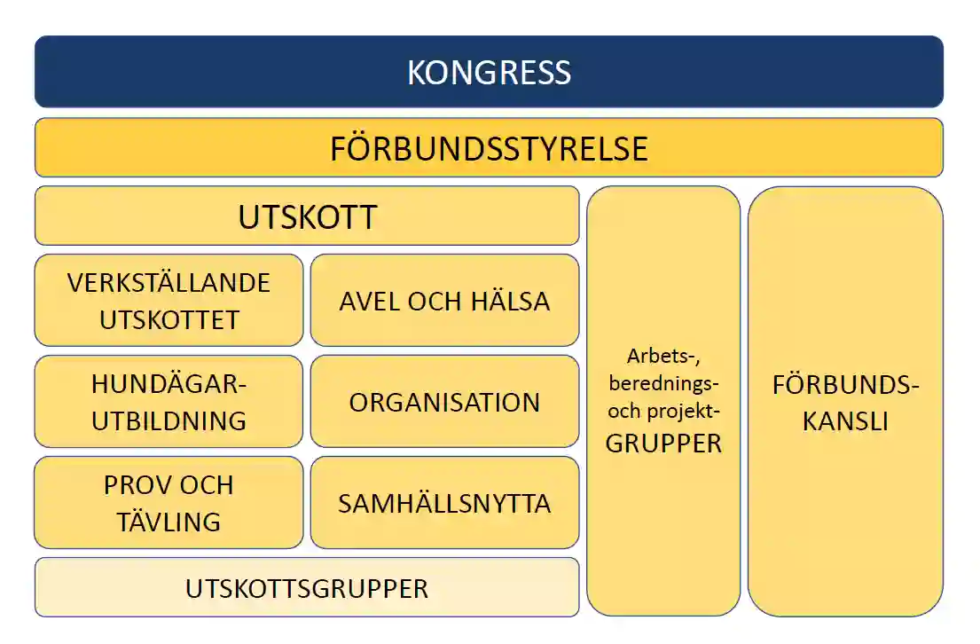 Schematisk bild över Svenska Brukshundklubbens förbundsorganisation.