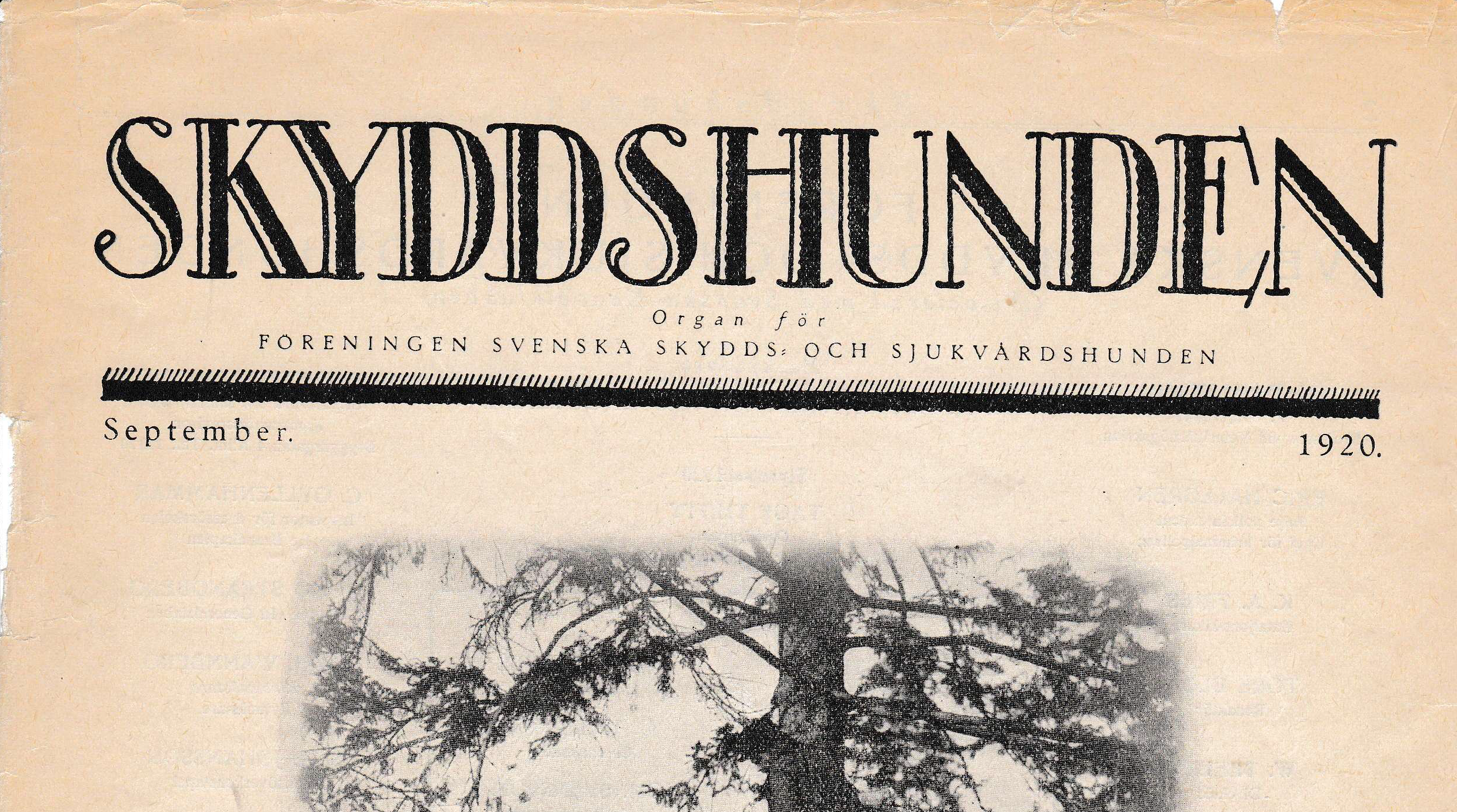 Bild på ett nummer av tidningen Skyddshunden från 1920
