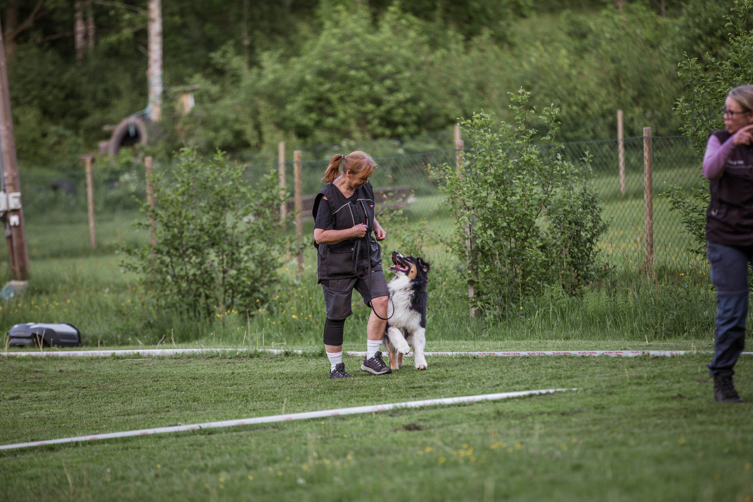 Årets Hund 2024 - Årets Hund Lydnad