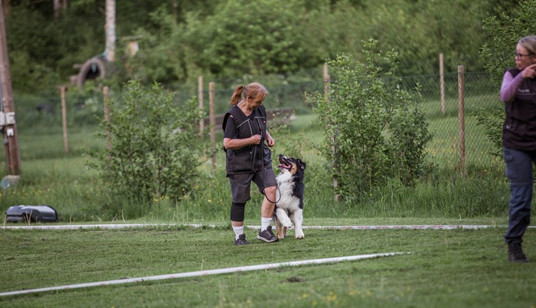 Årets Hund 2024 - Årets Hund Lydnad