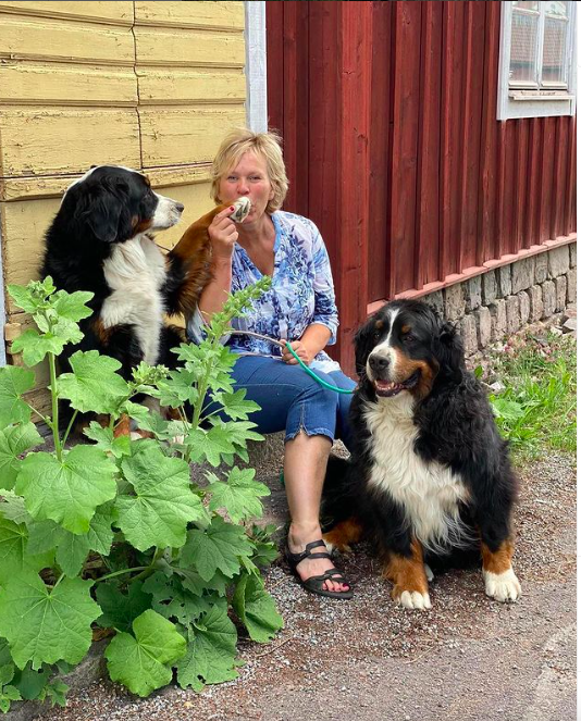 Kvinna och två Berner sinnen
