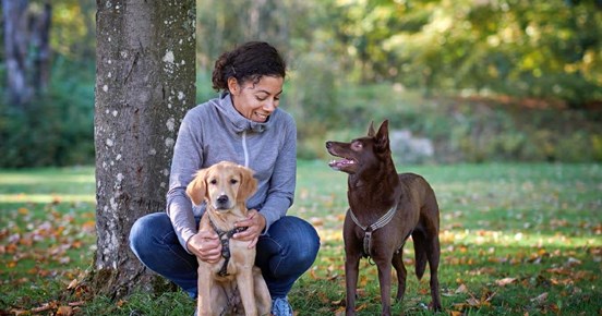 Emelie Johnson Vegh