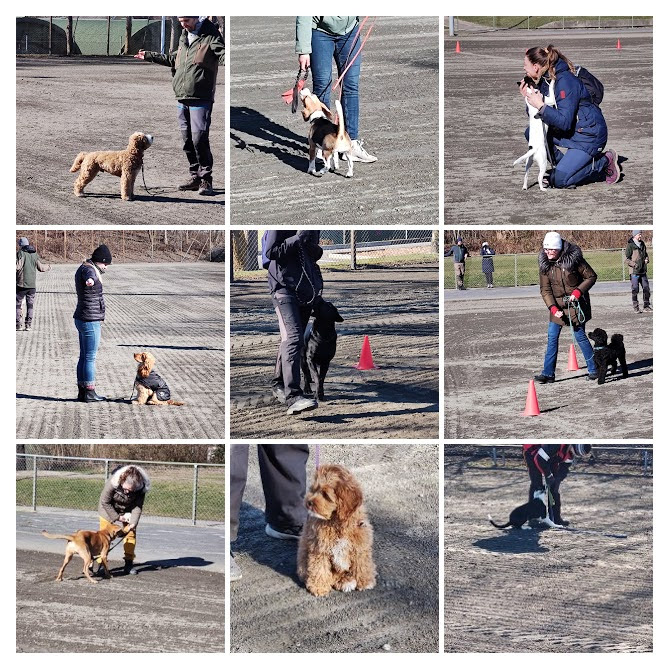 Bilder på flera som tränar