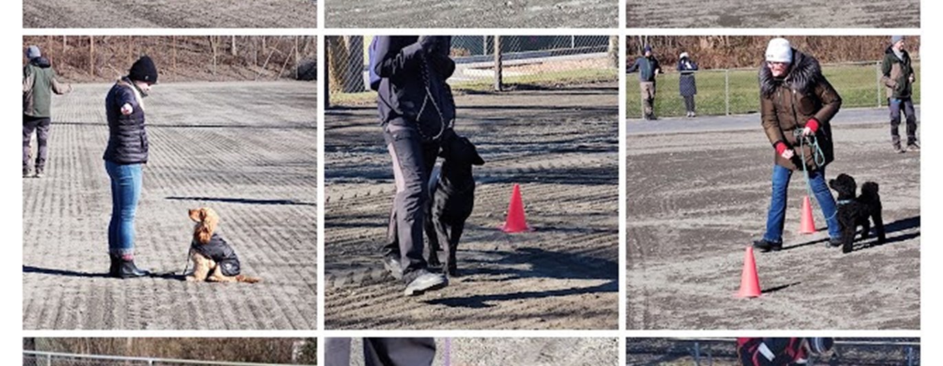 Bilder på flera som tränar