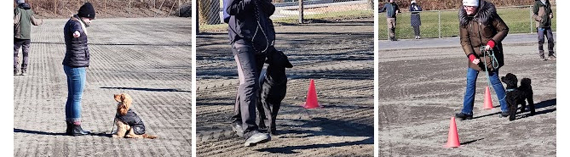 Bilder på flera som tränar