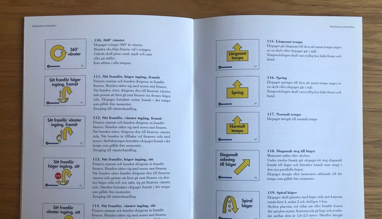 Foto på uppslag i rallylydnadsreglerna