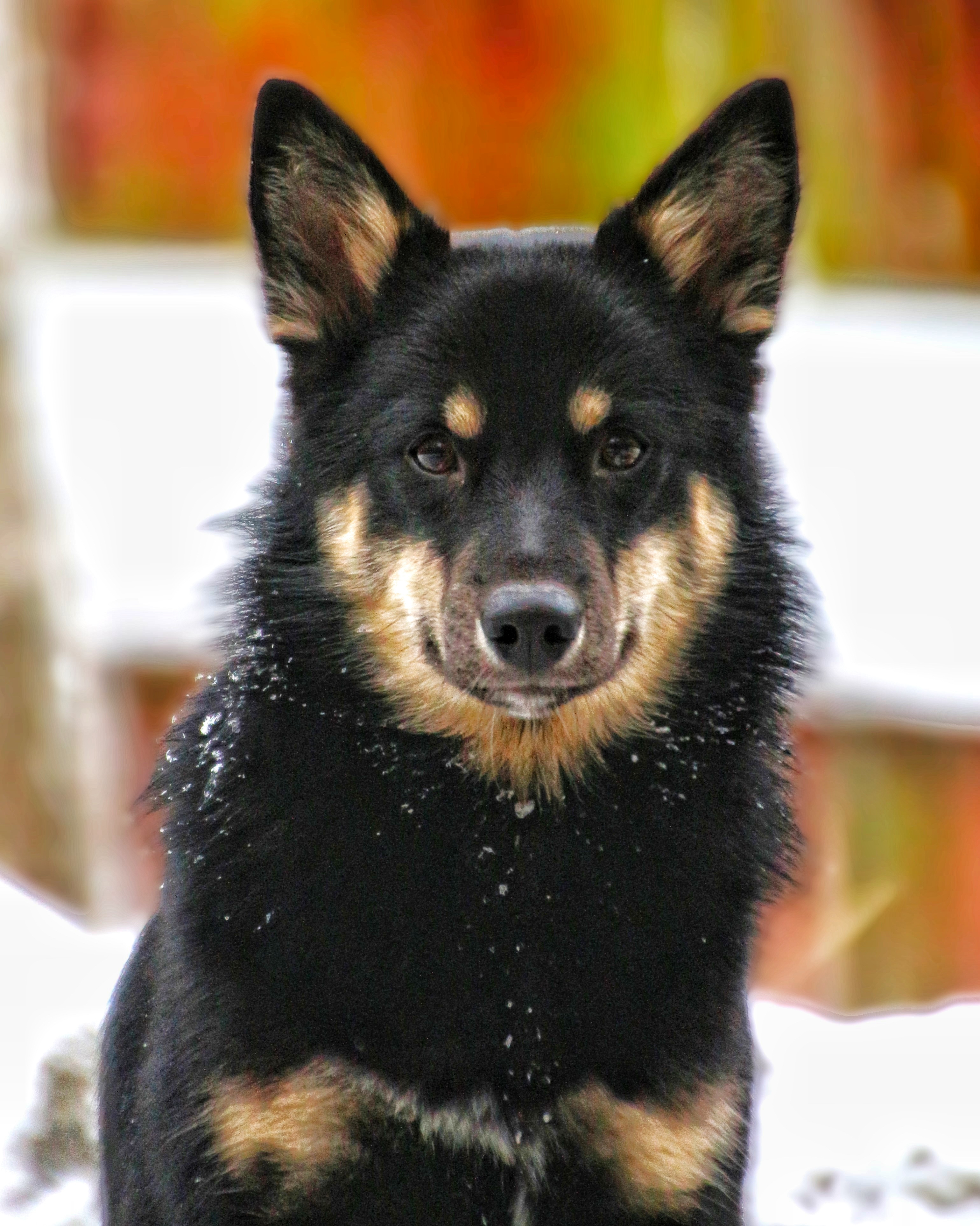 Foto: Beate Johanessen