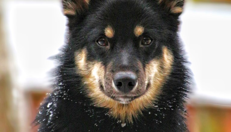 Foto: Beate Johanessen