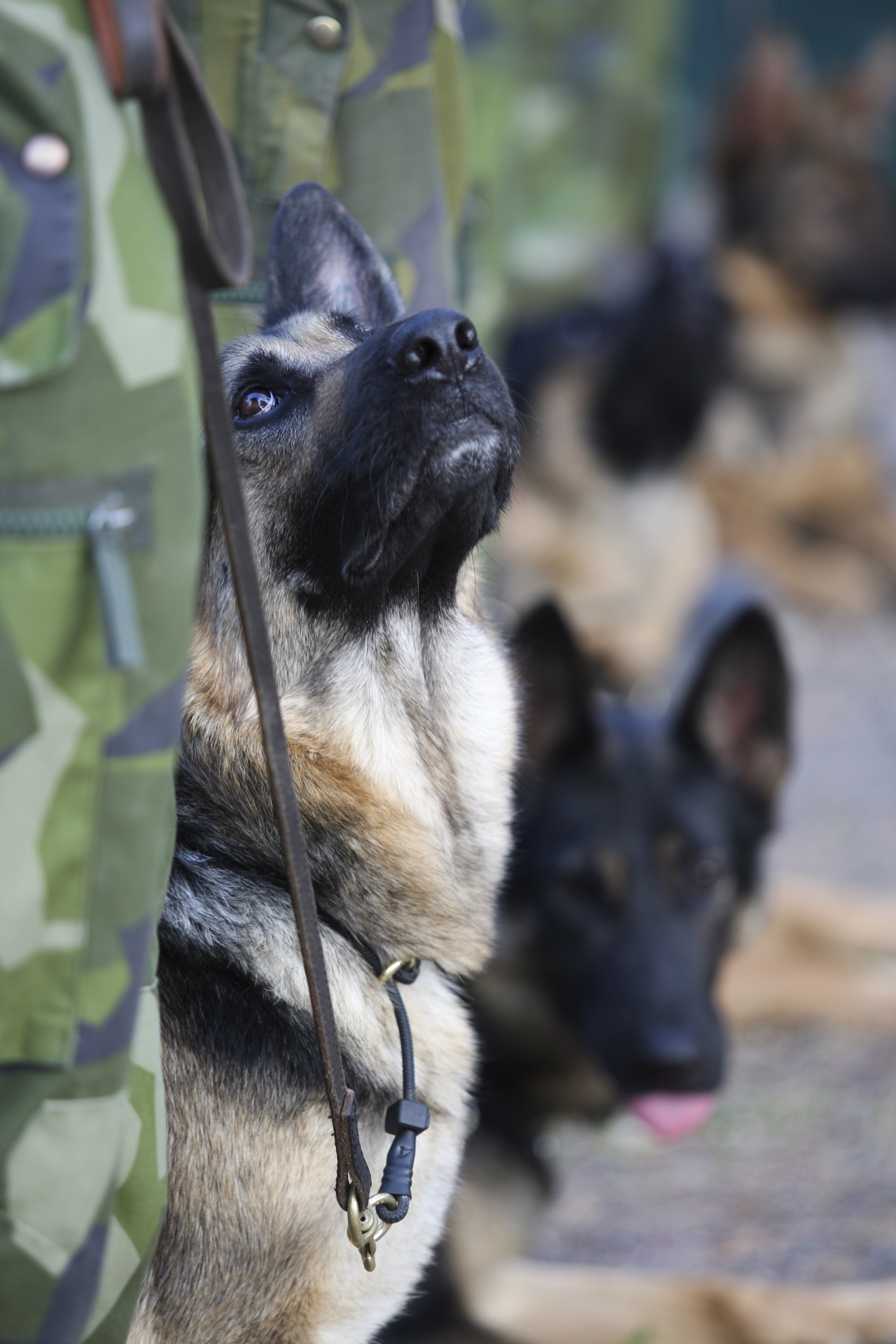 Fotograf: Elisabeth Gustavsson