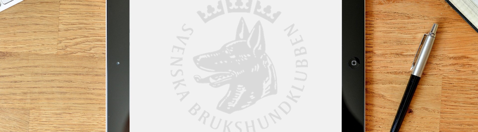 Bild som visar en Ipad med SBK logotype liggande på ett bord.