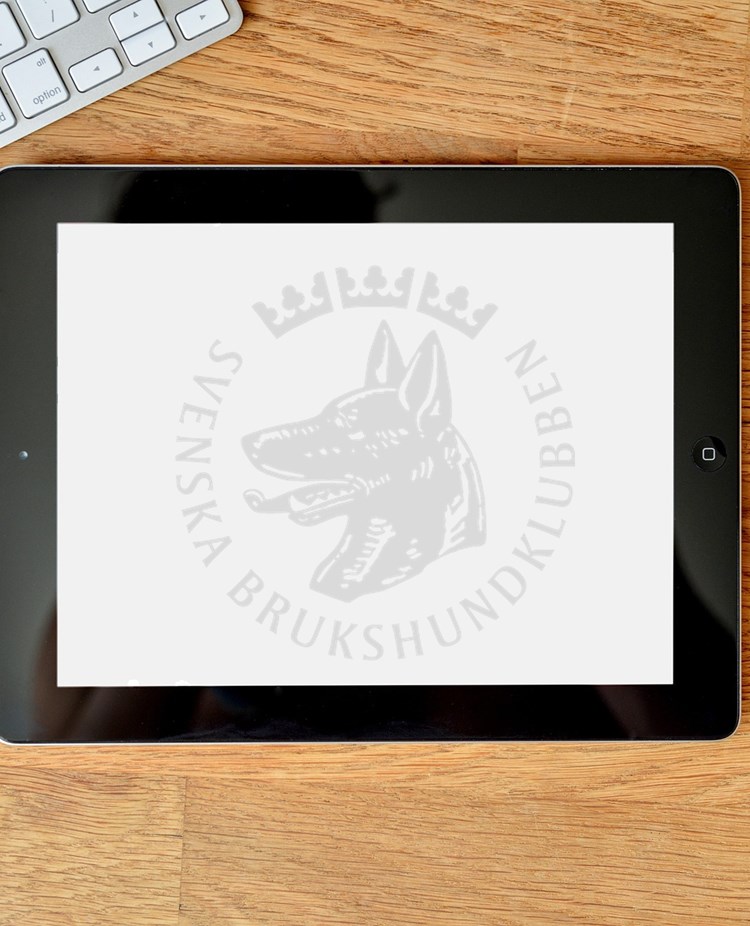 Bild som visar en Ipad med SBK logotype liggande på ett bord.