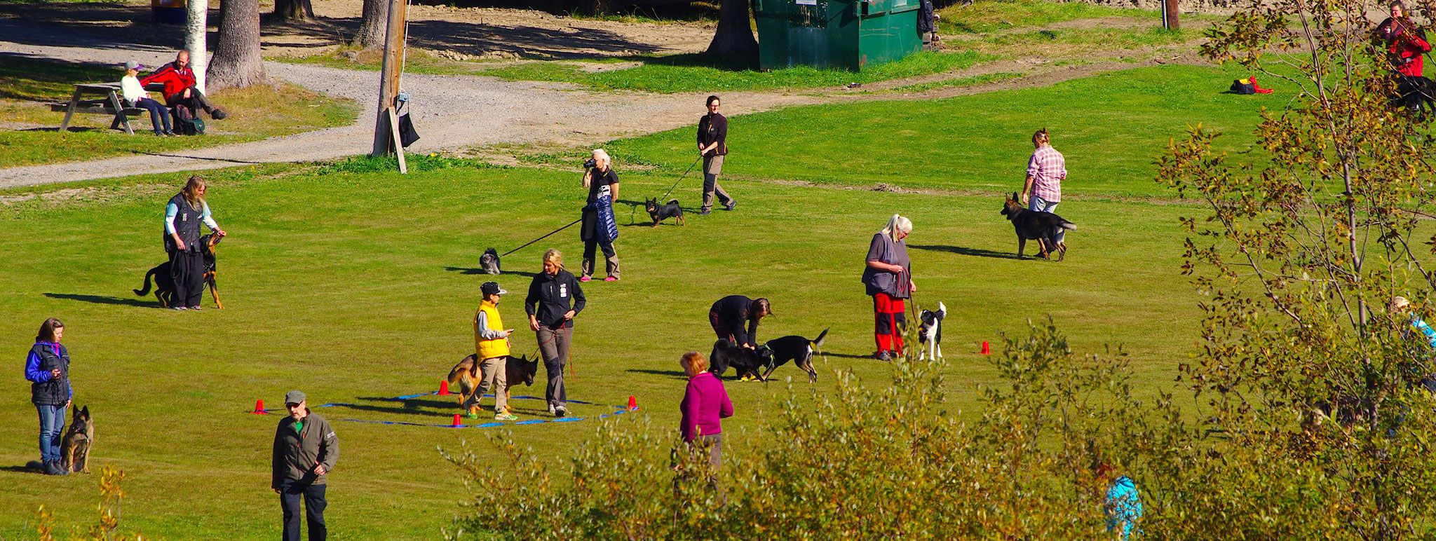 Människor som tränar sina hundar på appellplanen vid Östersunds brukshundklubb.