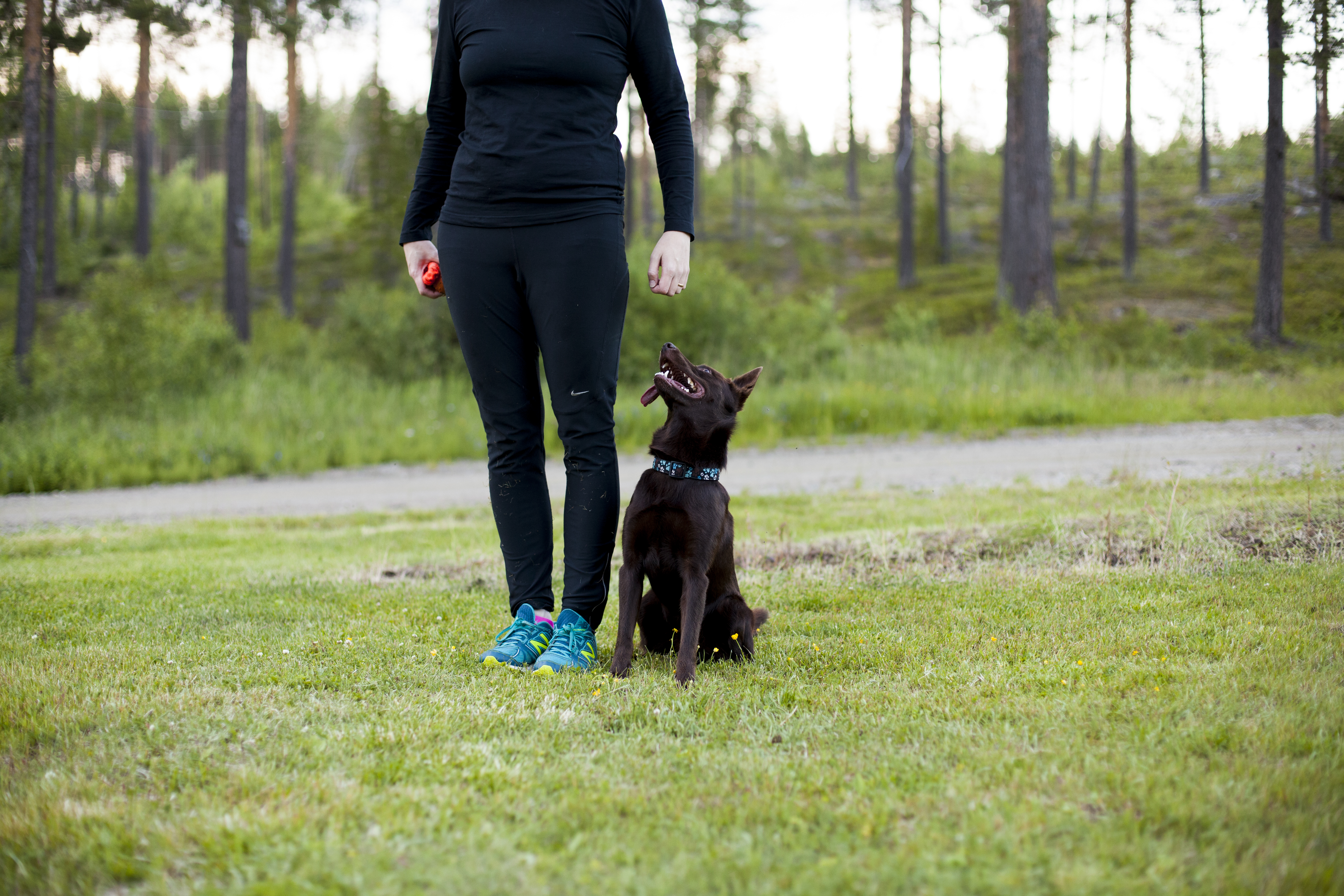 Brun hund sitter bredvid sin förare och tittar upp mot denne