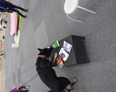 Byling markerar på bok på Mässan