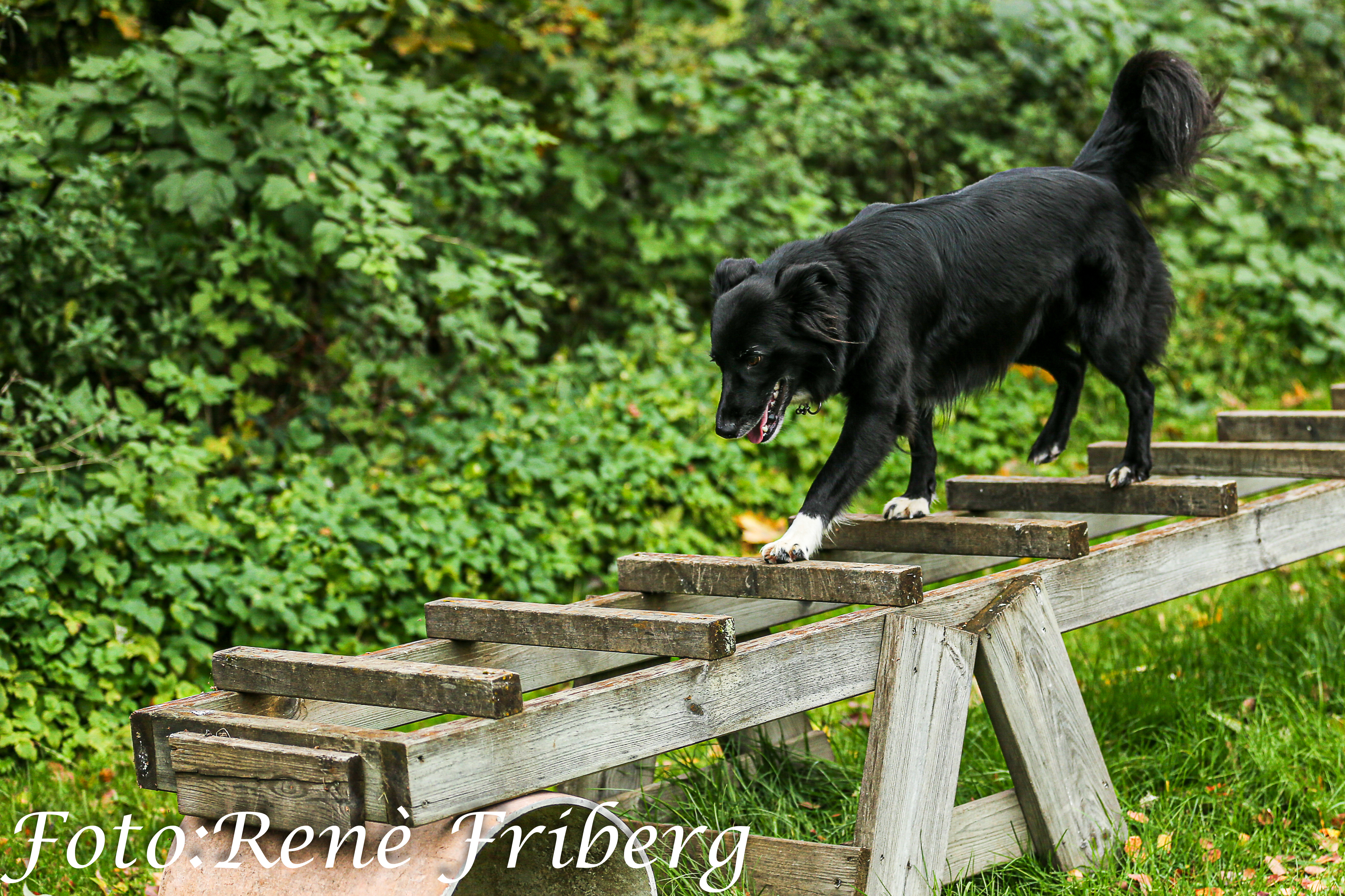 Stege på Parkourbanan
