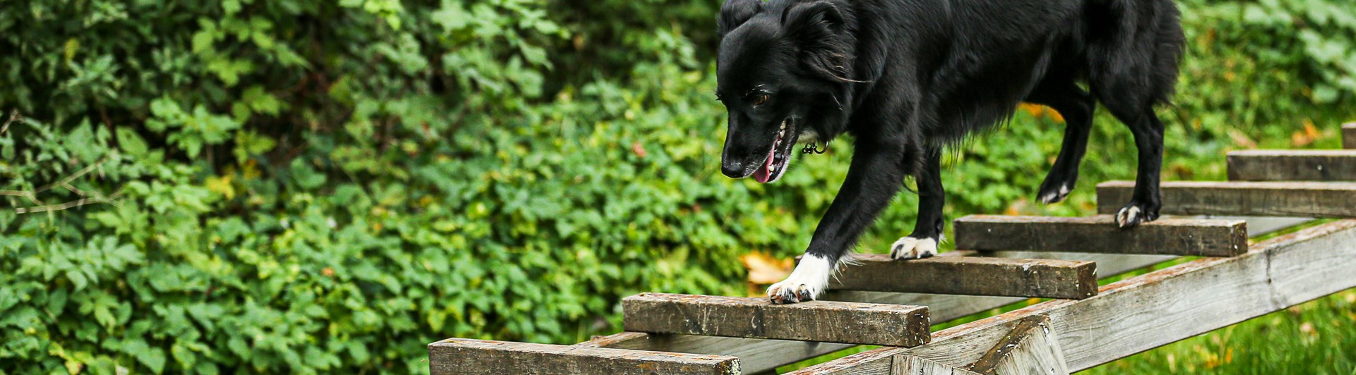 Stege på Parkourbanan