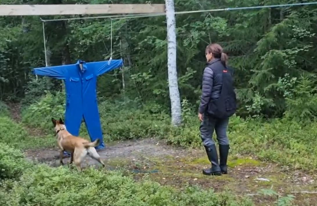 Bild från en mentalbeskrivning (MH)