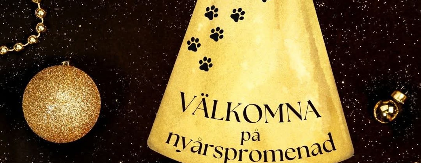 Inbjudan till Nyårs promenad