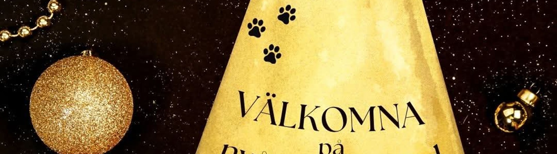 Inbjudan till Nyårs promenad