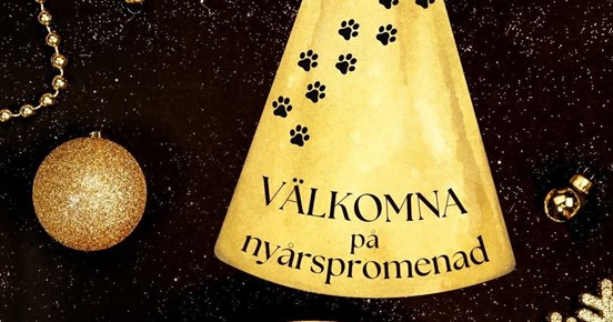 Inbjudan till Nyårs promenad