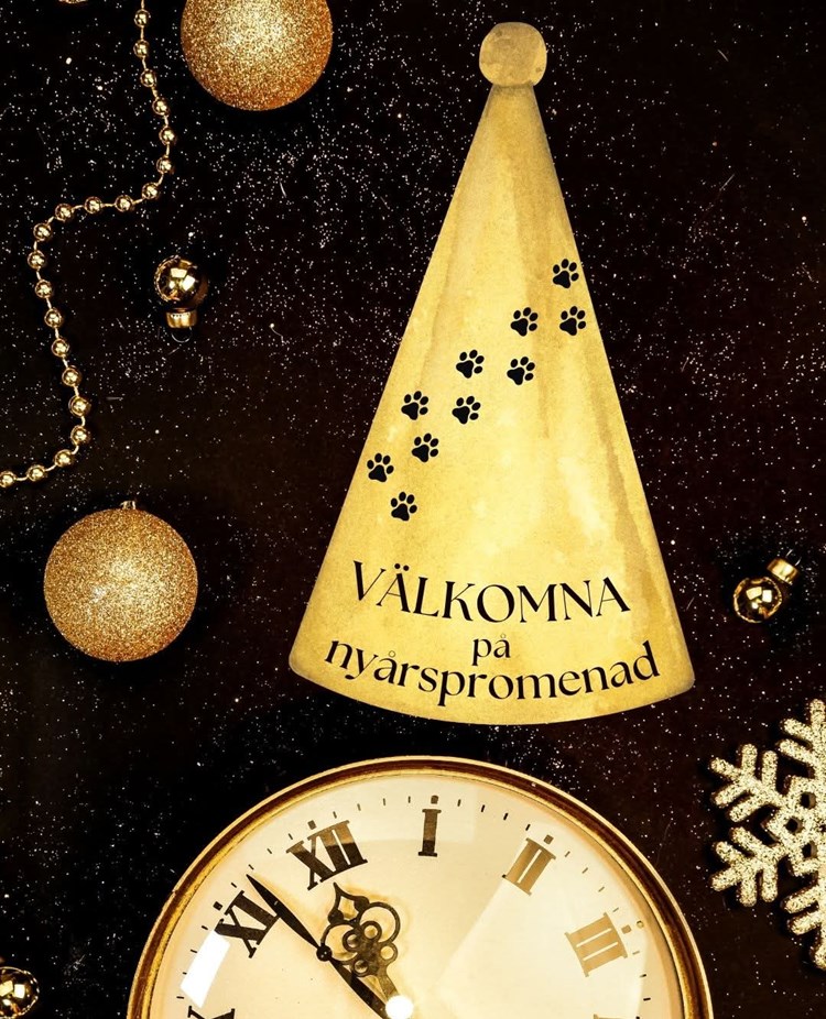 Inbjudan till Nyårs promenad
