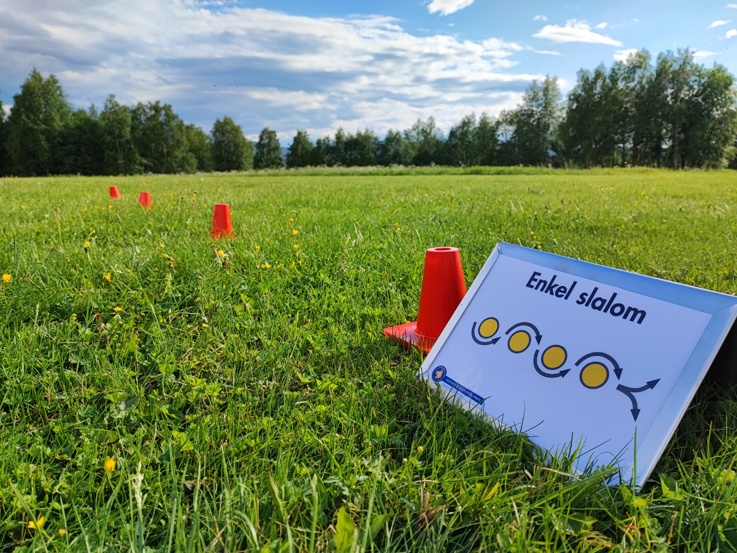 Rallylydnadsskylt slalom.